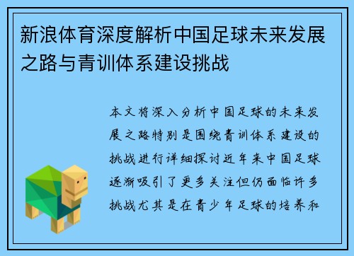 新浪体育深度解析中国足球未来发展之路与青训体系建设挑战